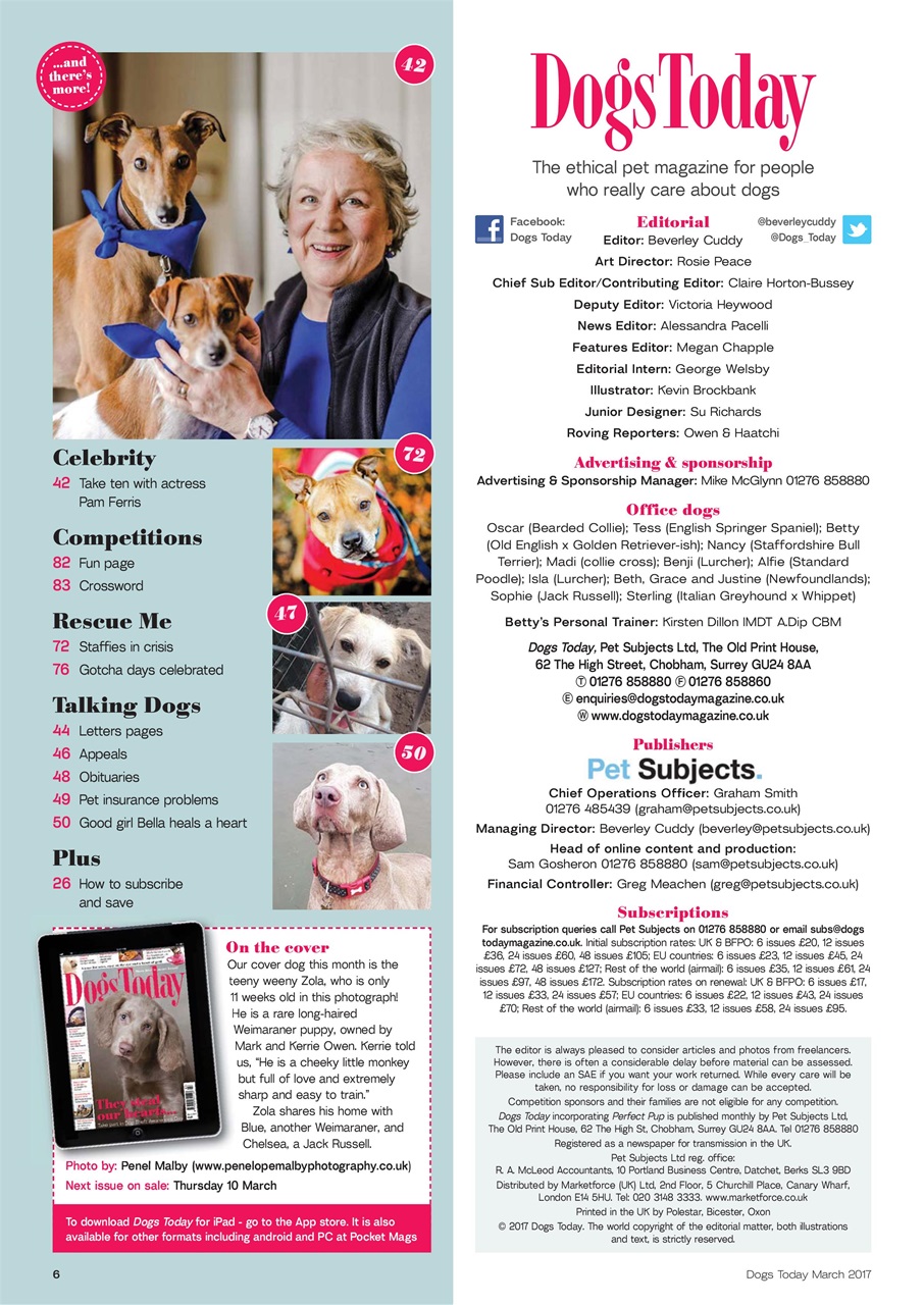 Dogs Today Magazine Preview Pages