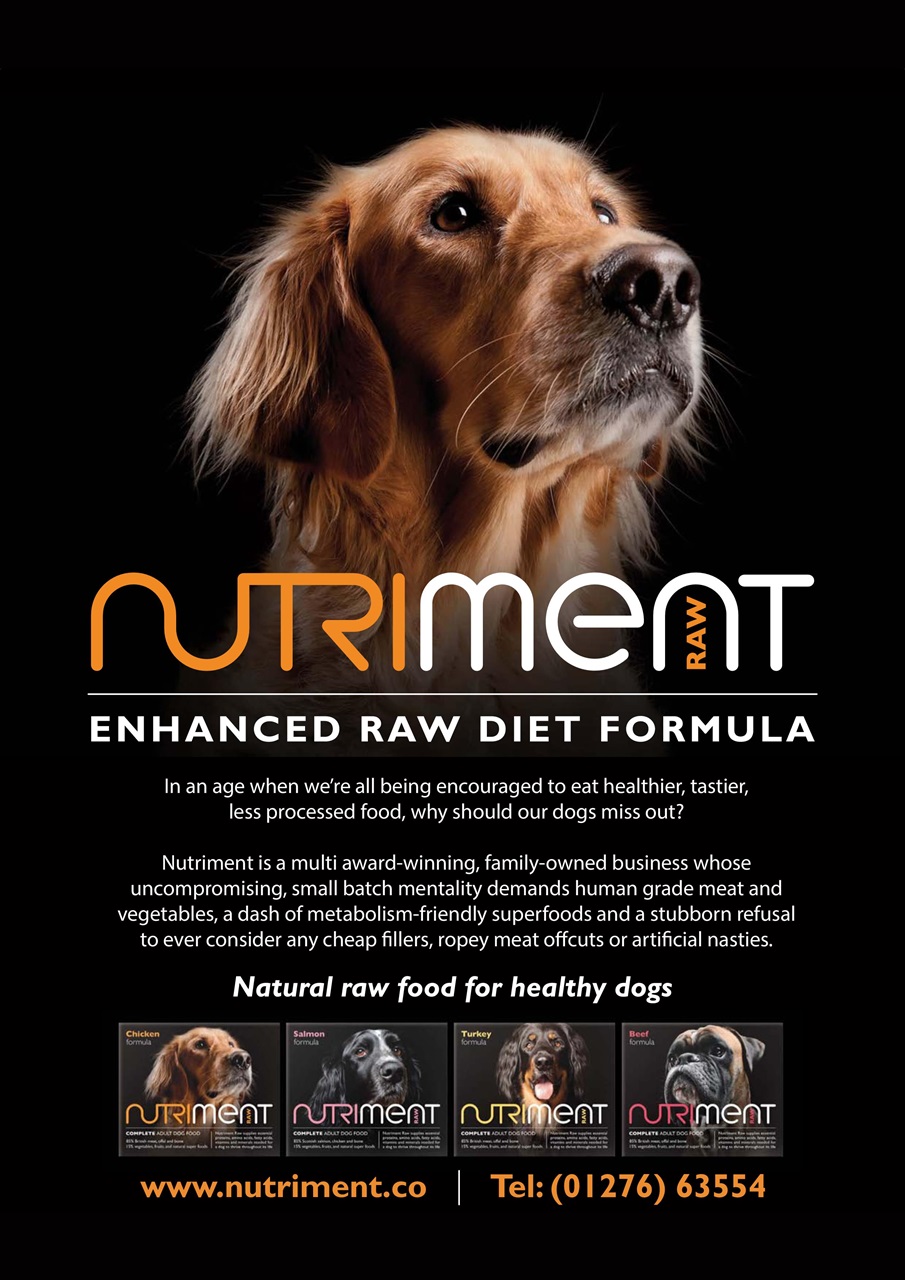 Dogs Today Magazine Preview Pages