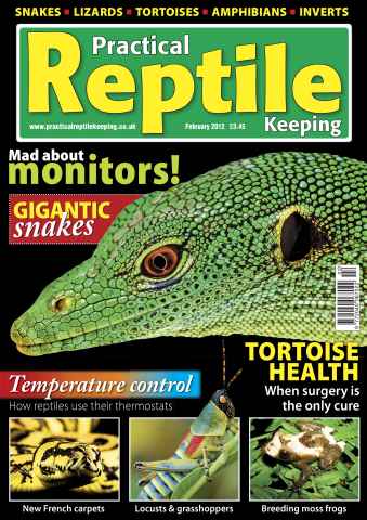 Practical Reptile Keeping issue No.33 Monitor Lizards Keeping