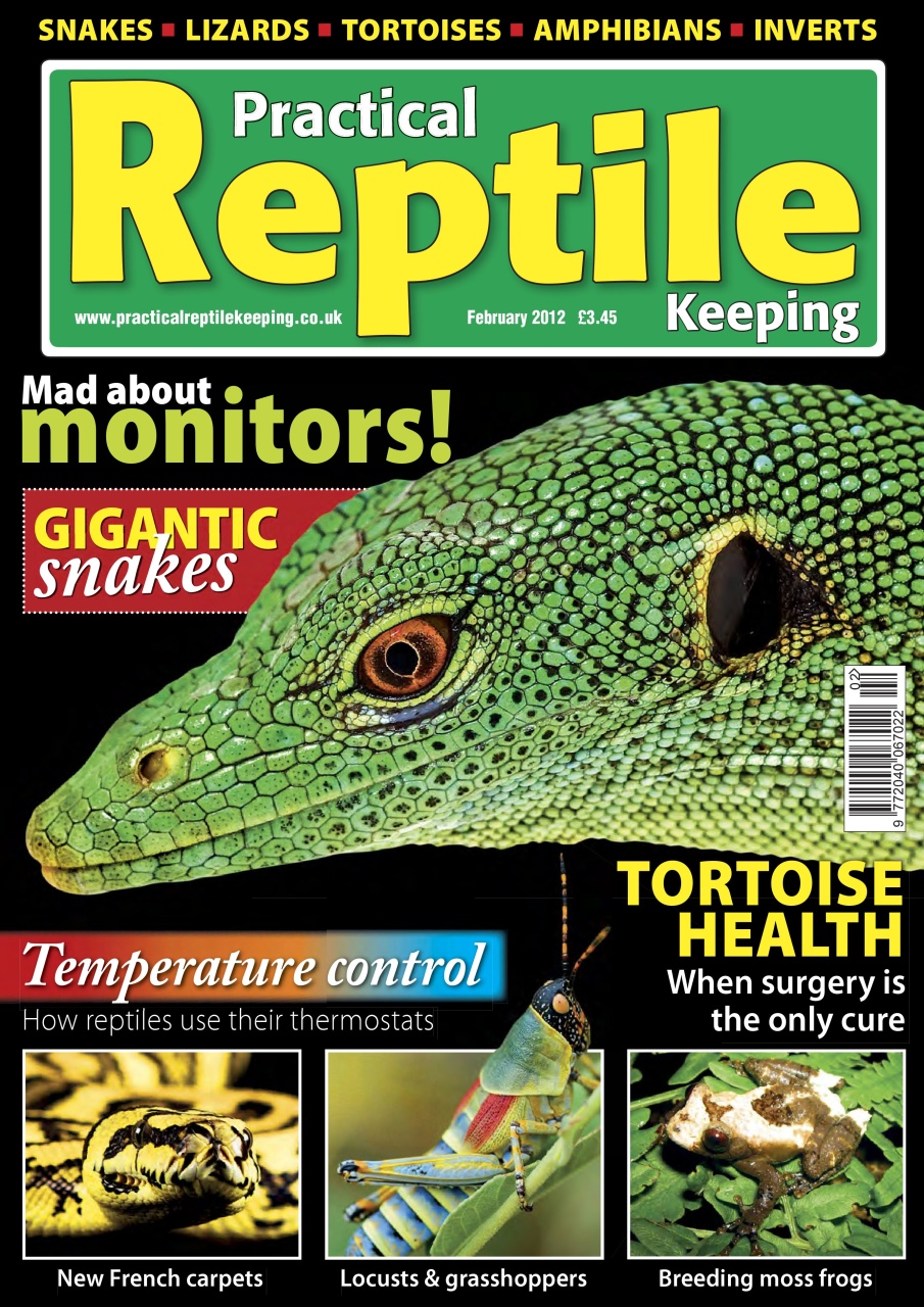 Practical Reptile Keeping Preview Pages