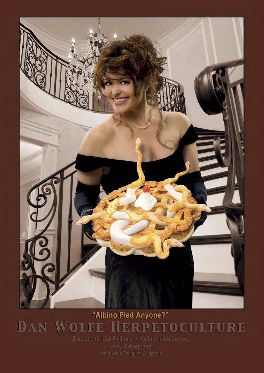 Practical Reptile Keeping Preview Pages