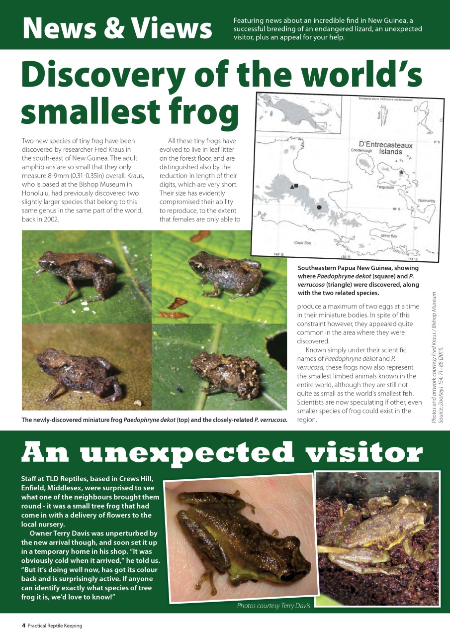 Practical Reptile Keeping Preview Pages