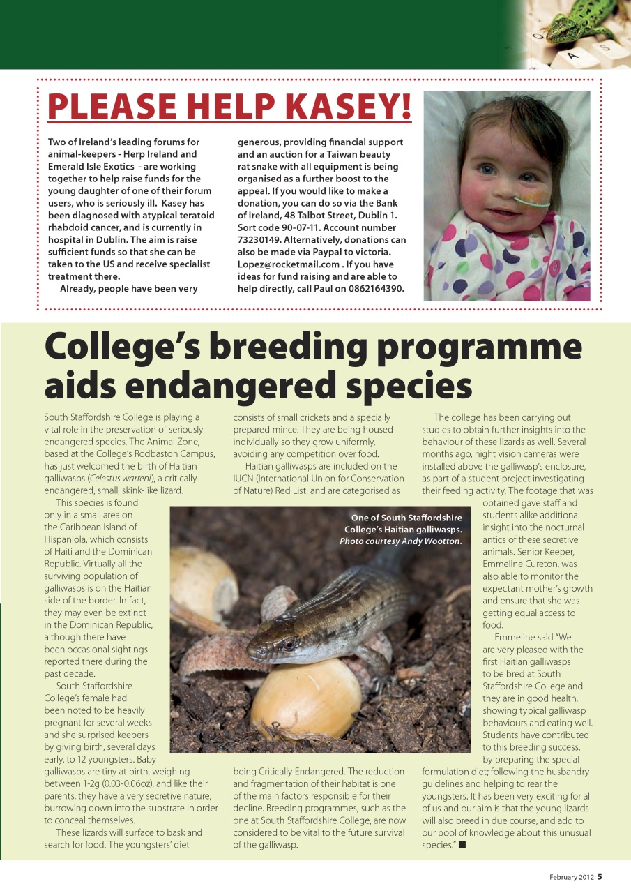 Practical Reptile Keeping Preview Pages