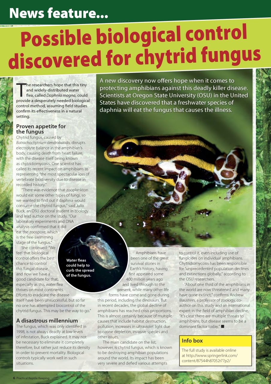 Practical Reptile Keeping Preview Pages