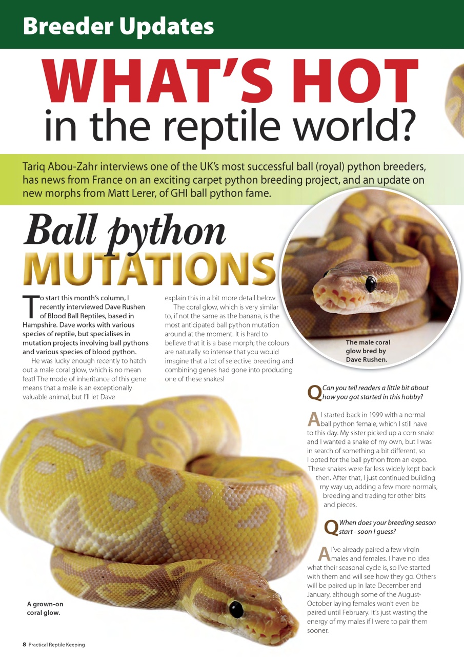 Practical Reptile Keeping Preview Pages