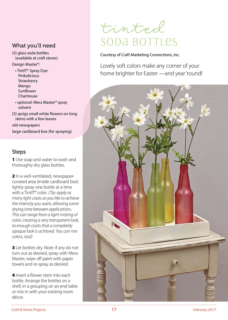 Craft & Home Projects Preview Pages