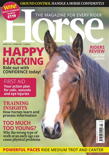 Horse issue 