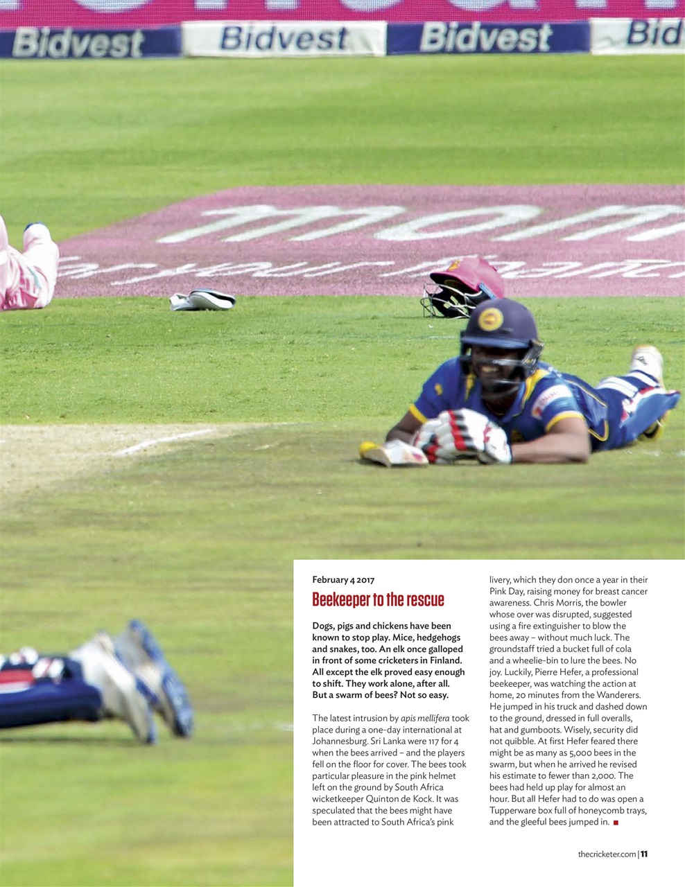 The Cricketer Magazine Preview Pages