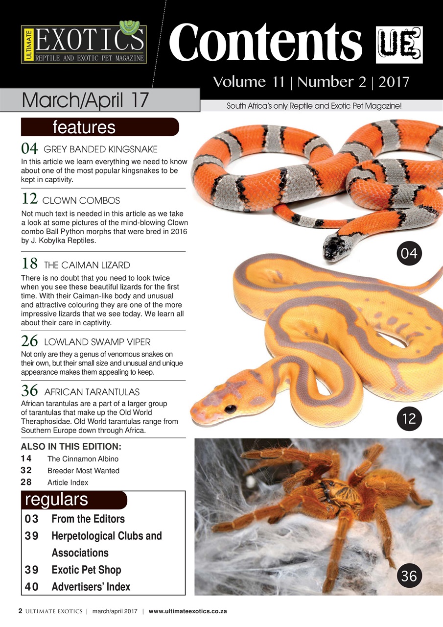 Ultimate Exotics Preview Pages