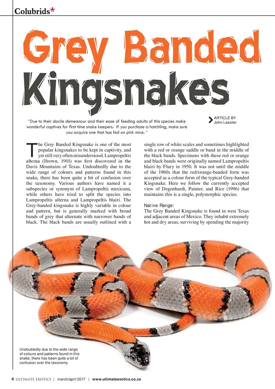 Ultimate Exotics Preview Pages