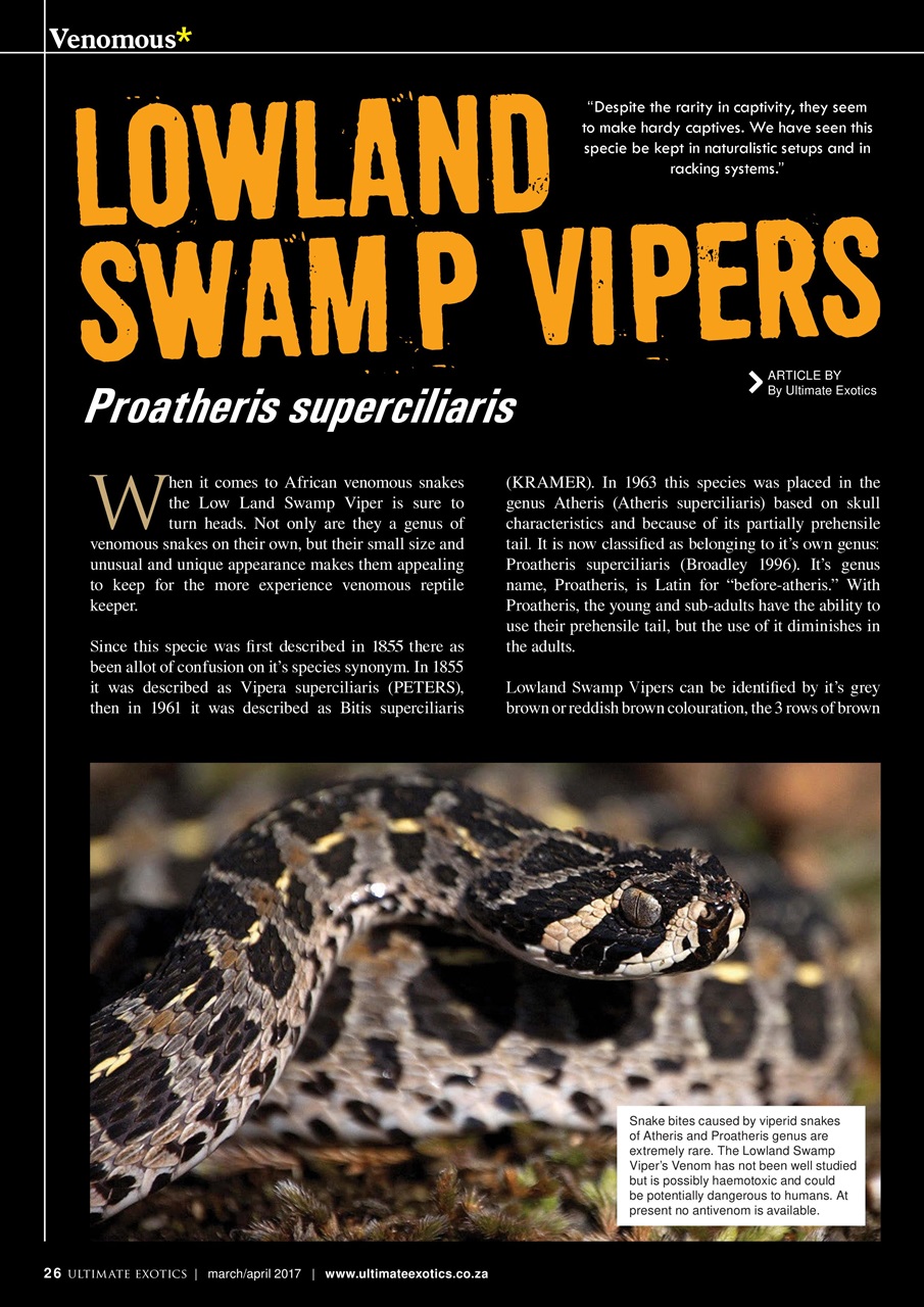 Ultimate Exotics Preview Pages