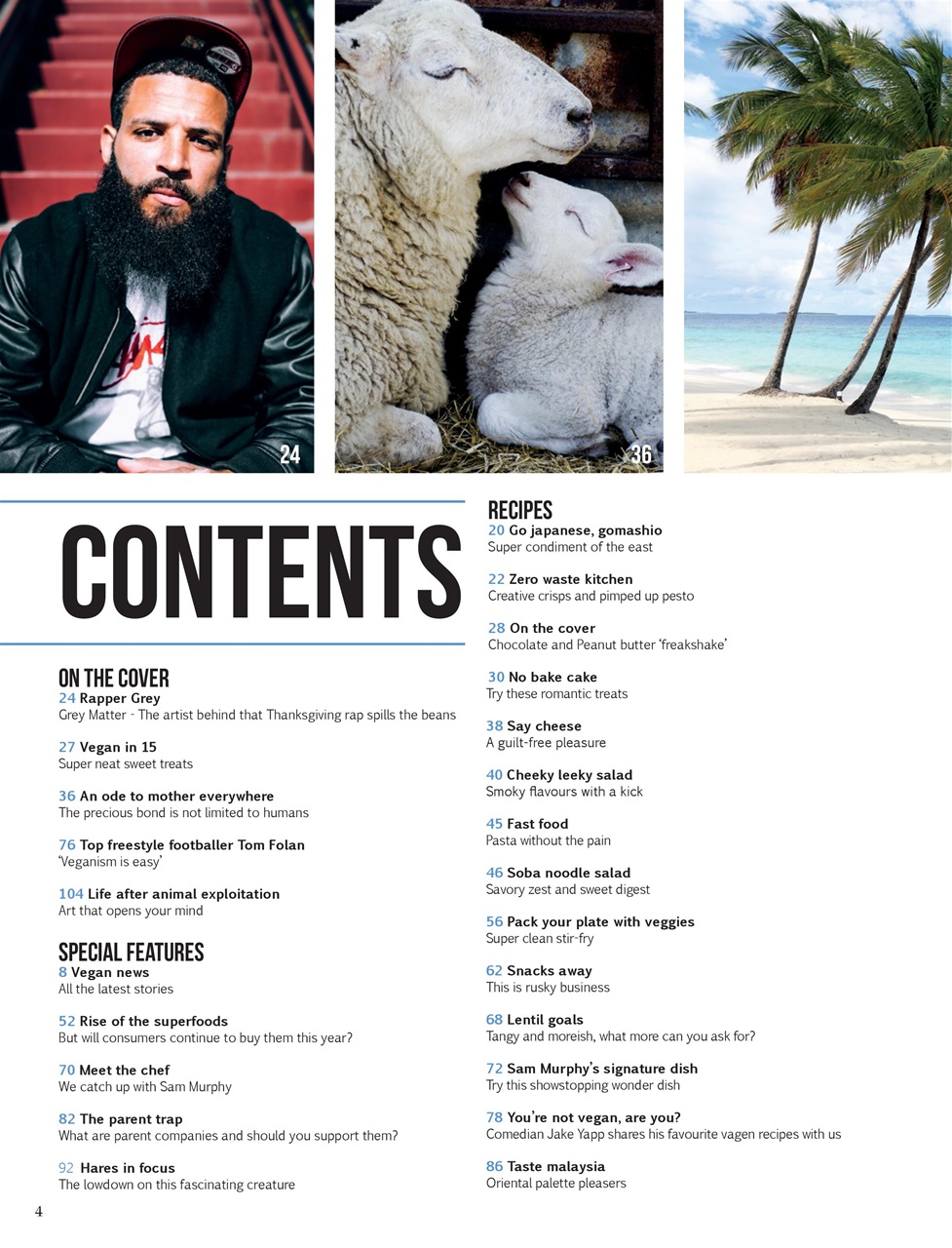 Vegan Life Preview Pages