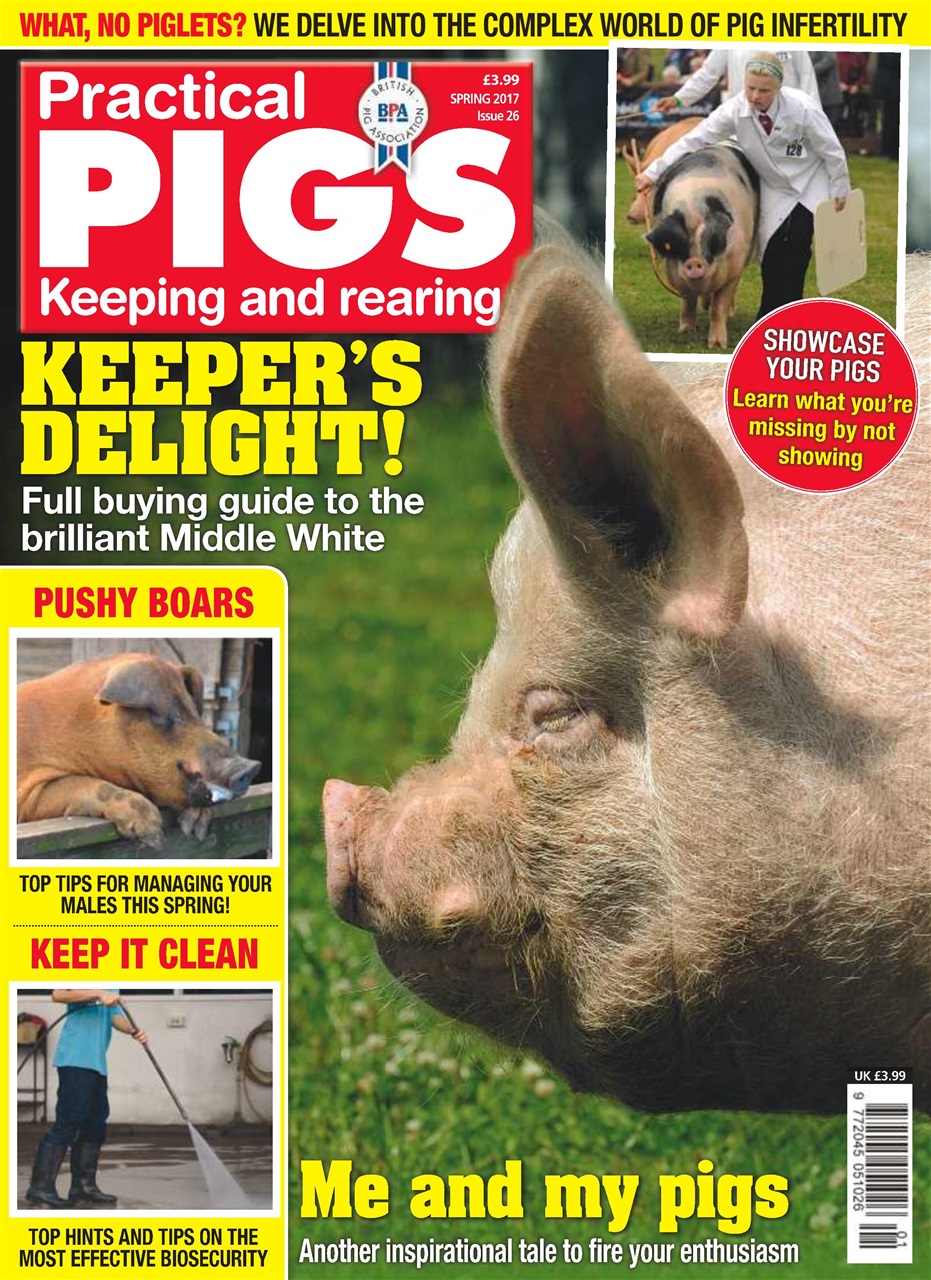 Practical Pigs Preview Pages