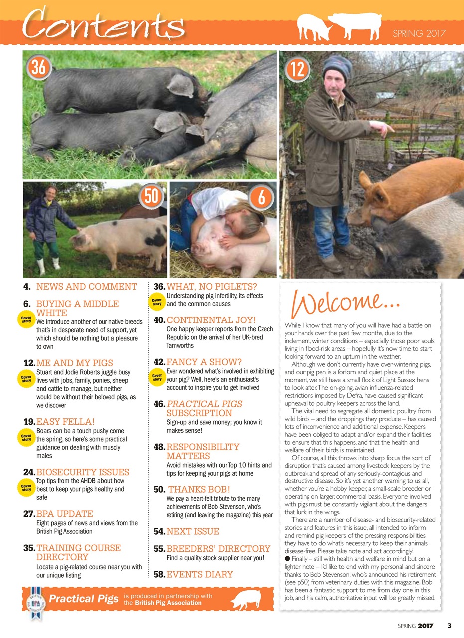 Practical Pigs Preview Pages