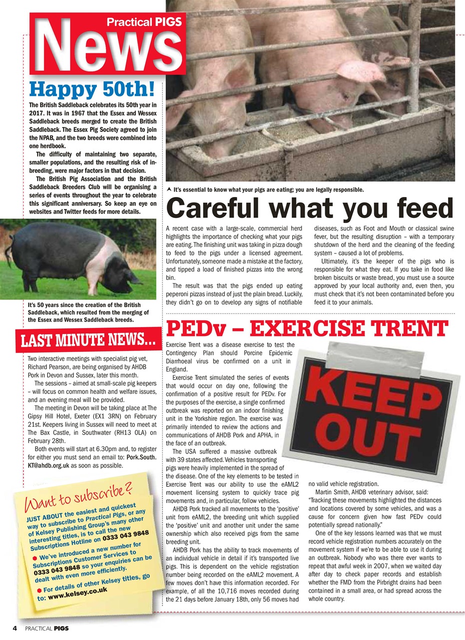 Practical Pigs Preview Pages