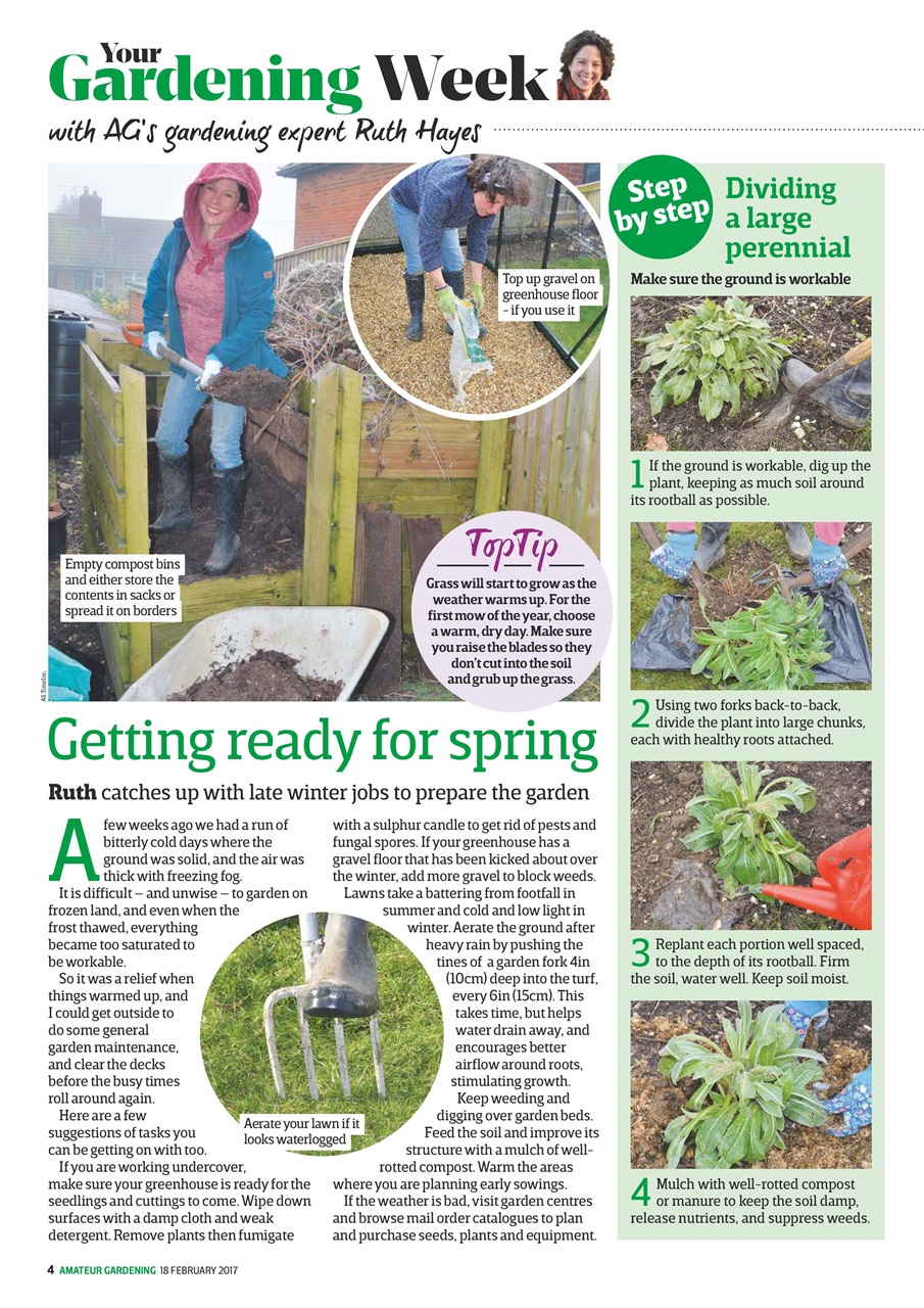 Amateur Gardening Preview Pages