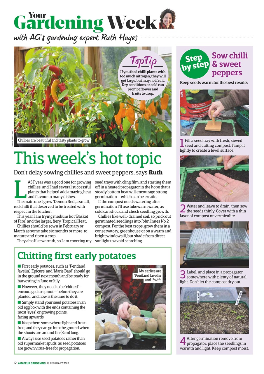 Amateur Gardening Preview Pages