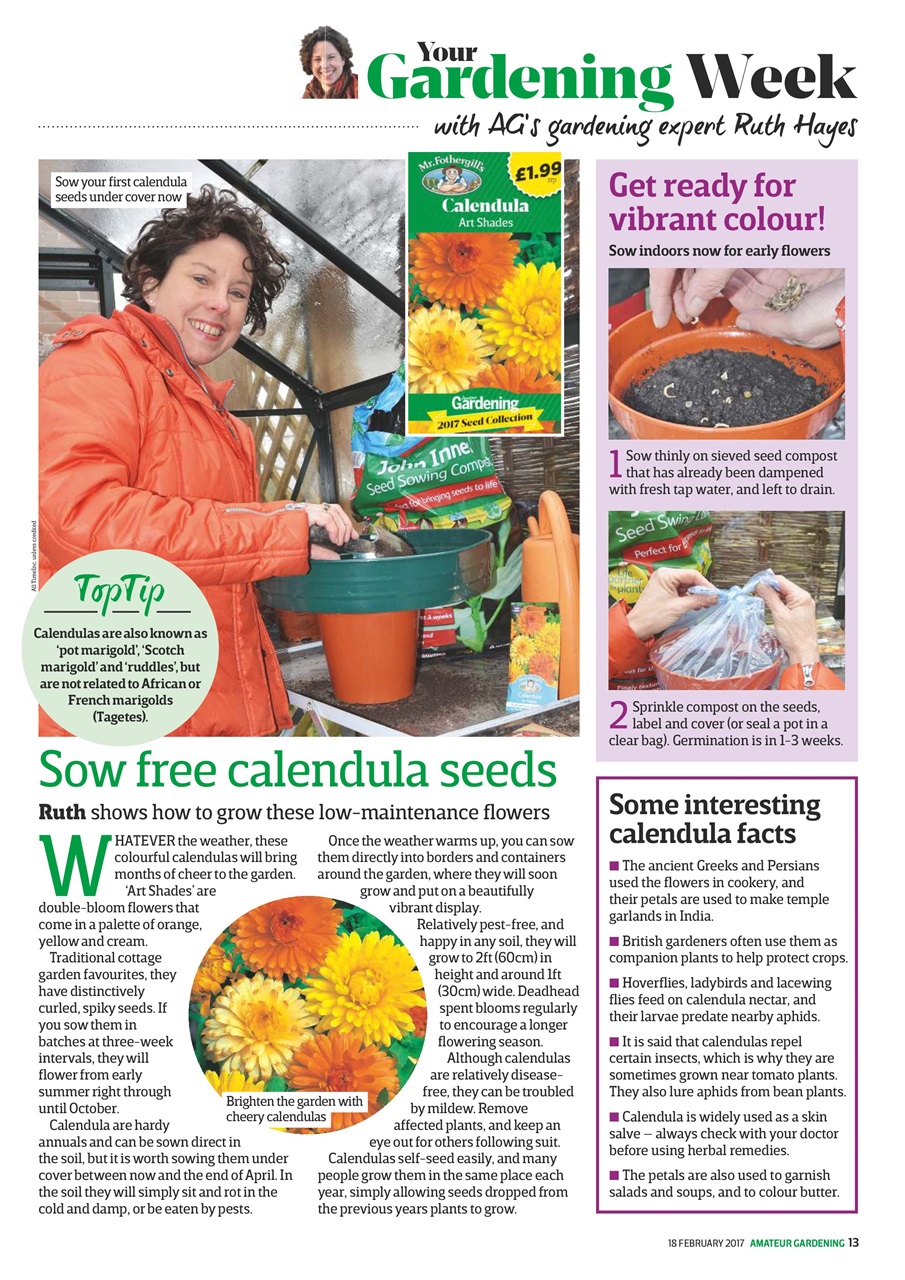 Amateur Gardening Preview Pages