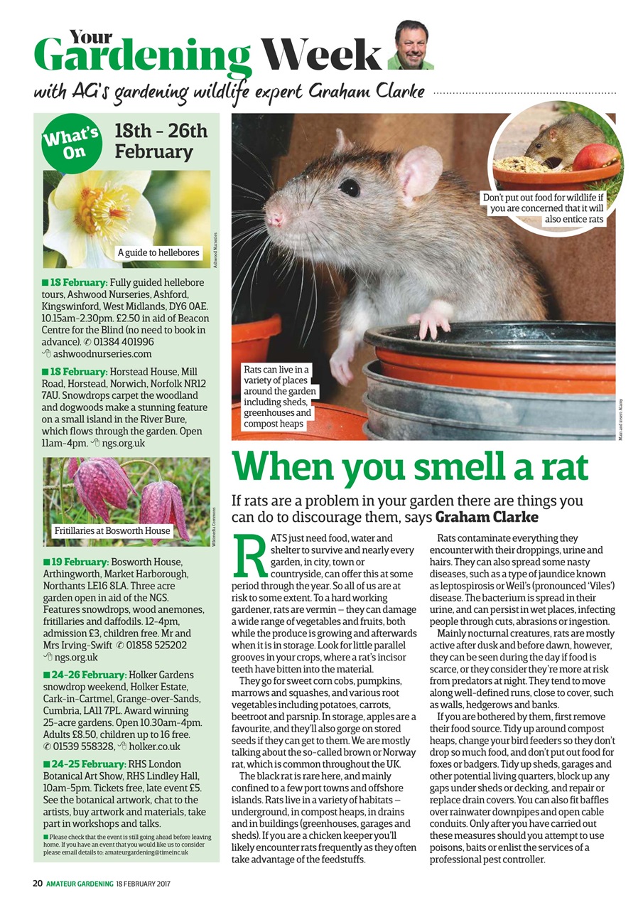 Amateur Gardening Preview Pages