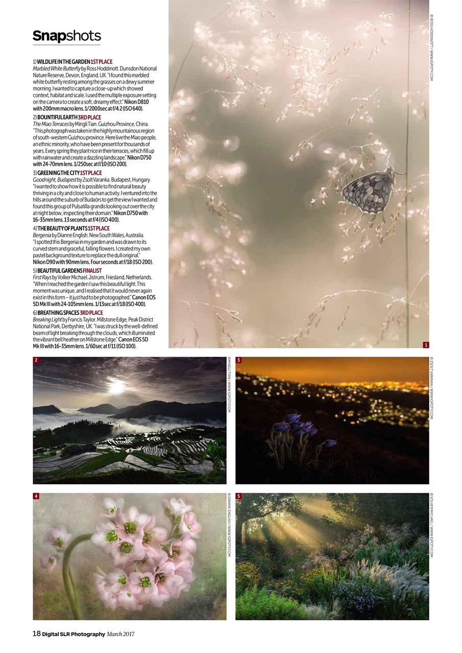 Digital SLR Photography Preview Pages