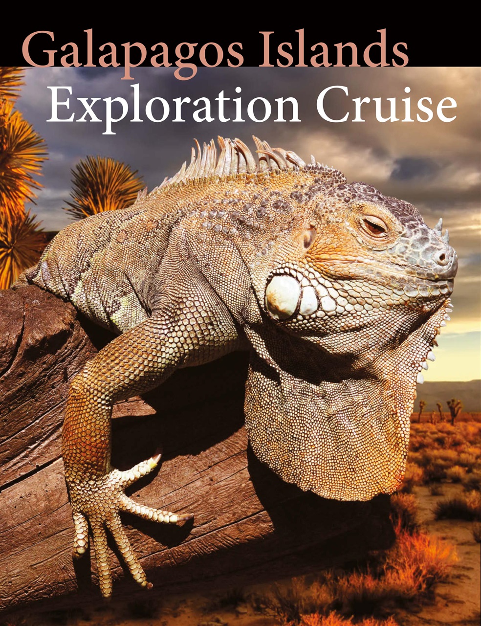 National Geographic Traveller UK Preview Pages