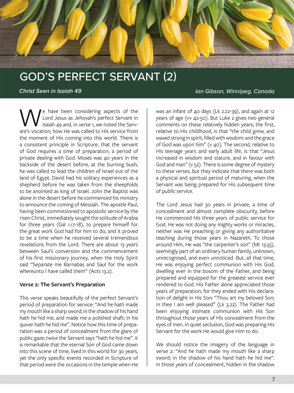 Believer Magazine Preview Pages