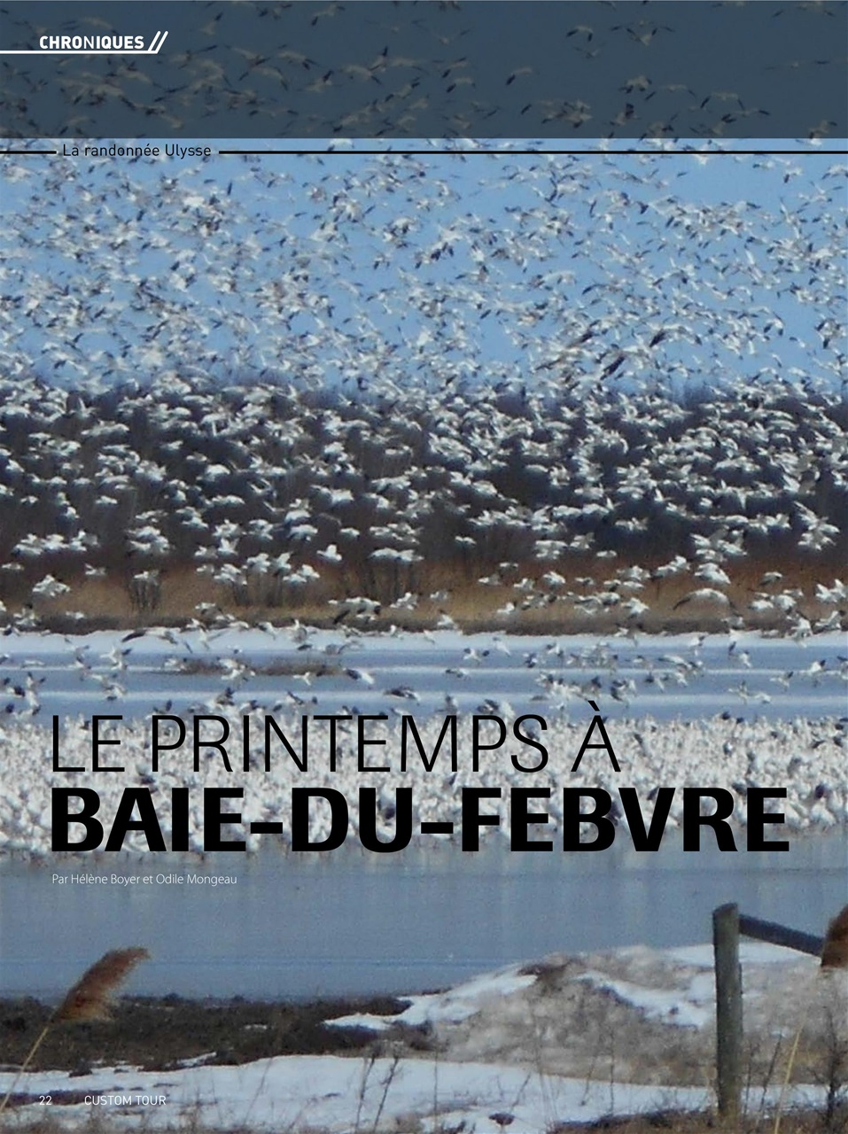 Custom Tour Preview Pages