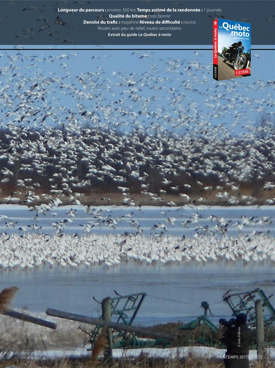 Custom Tour Preview Pages