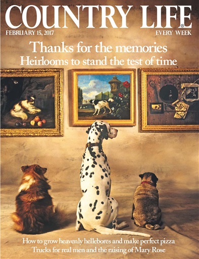 Country Life issue 