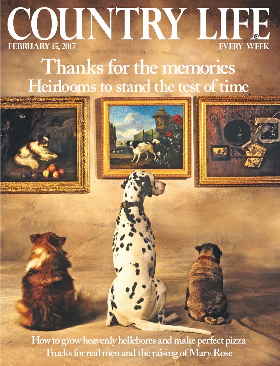 Country Life Preview Pages