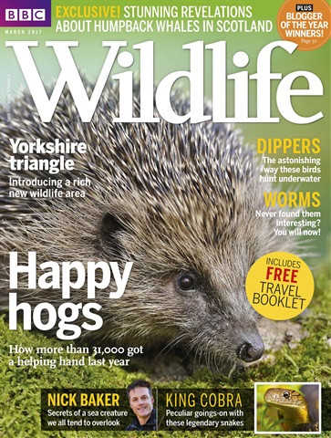 BBC Wildlife Magazine issue March 2017