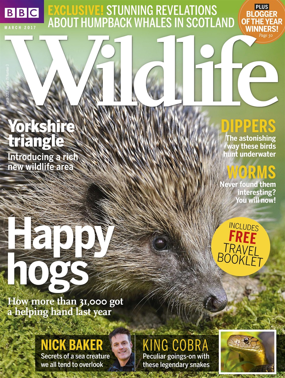 BBC Wildlife Magazine Preview Pages