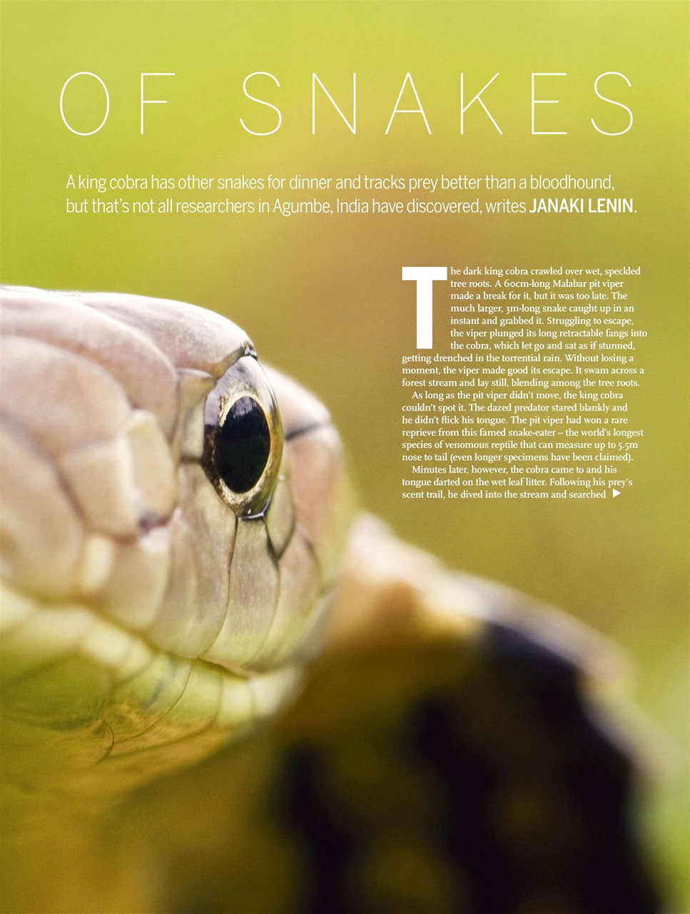 BBC Wildlife Magazine Preview Pages