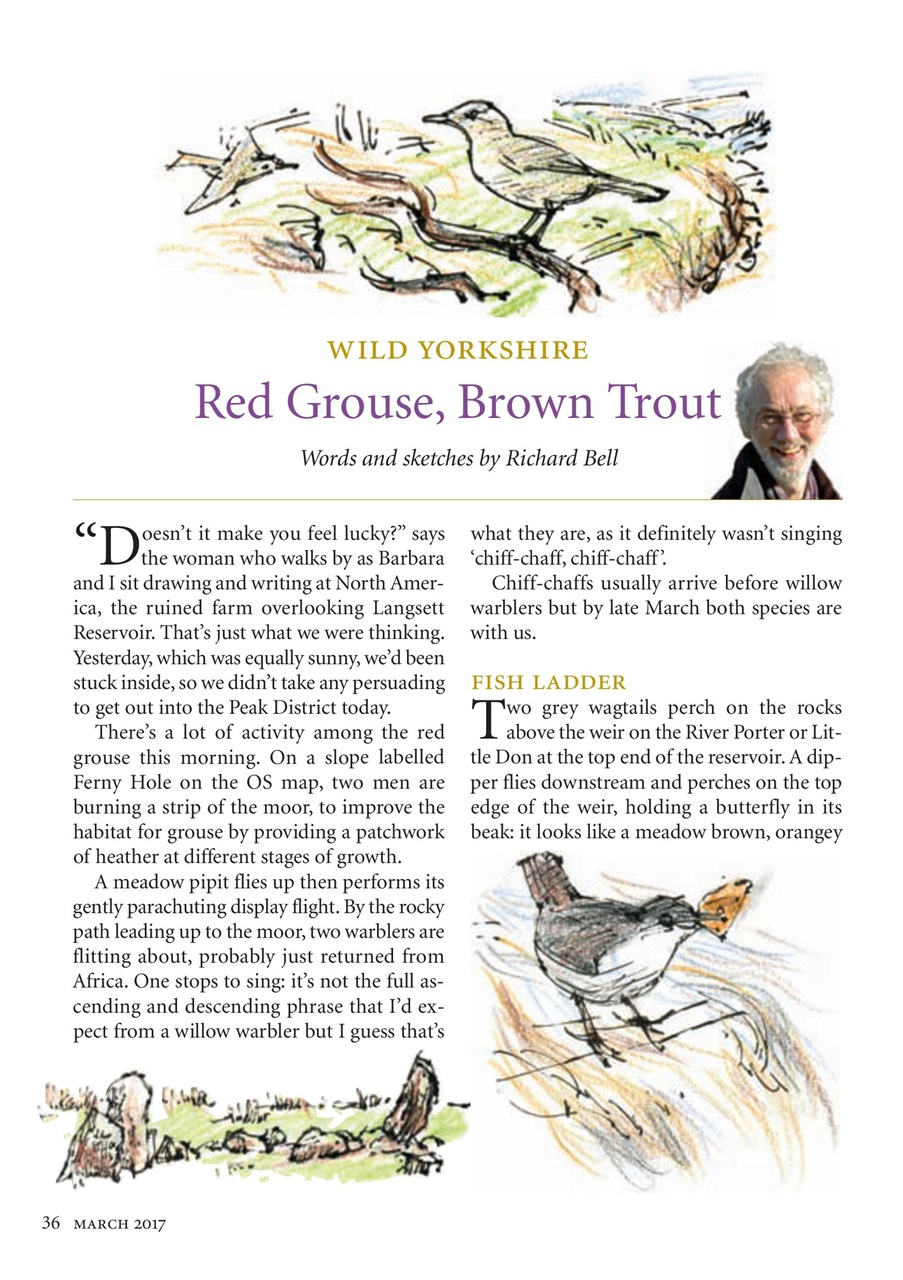 The Yorkshire Dalesman Preview Pages