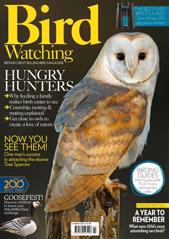 Bird Watching issue March 2017