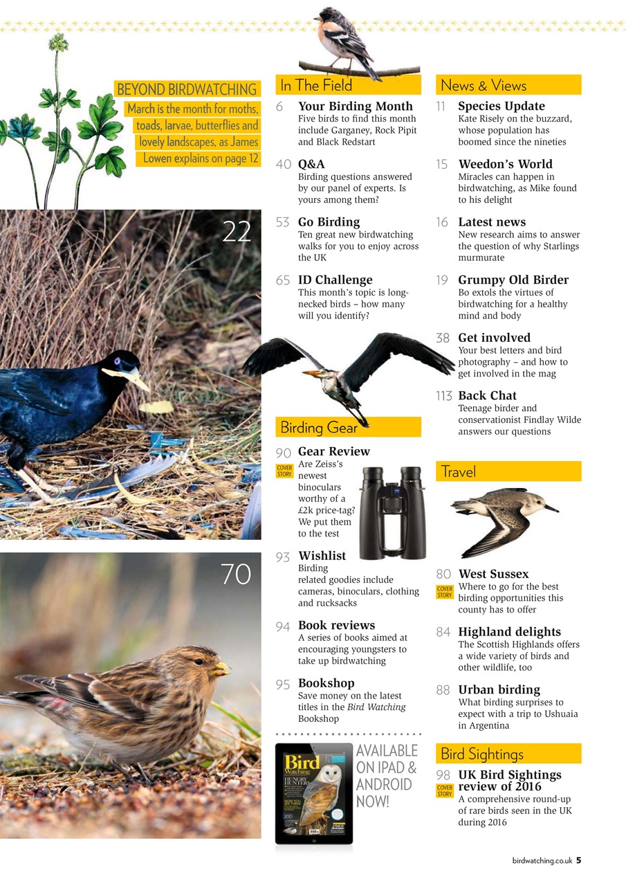 Bird Watching Preview Pages