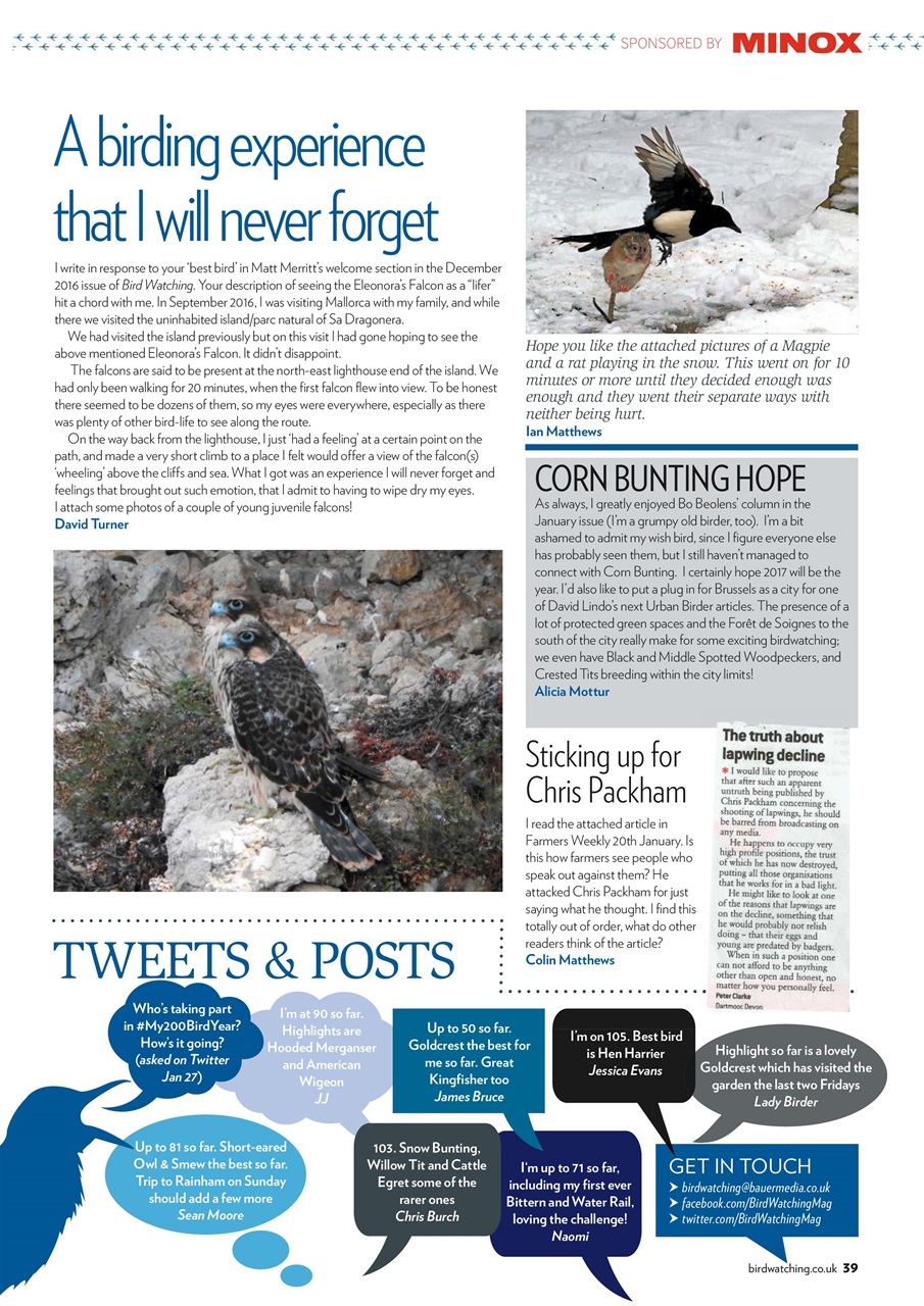 Bird Watching Preview Pages