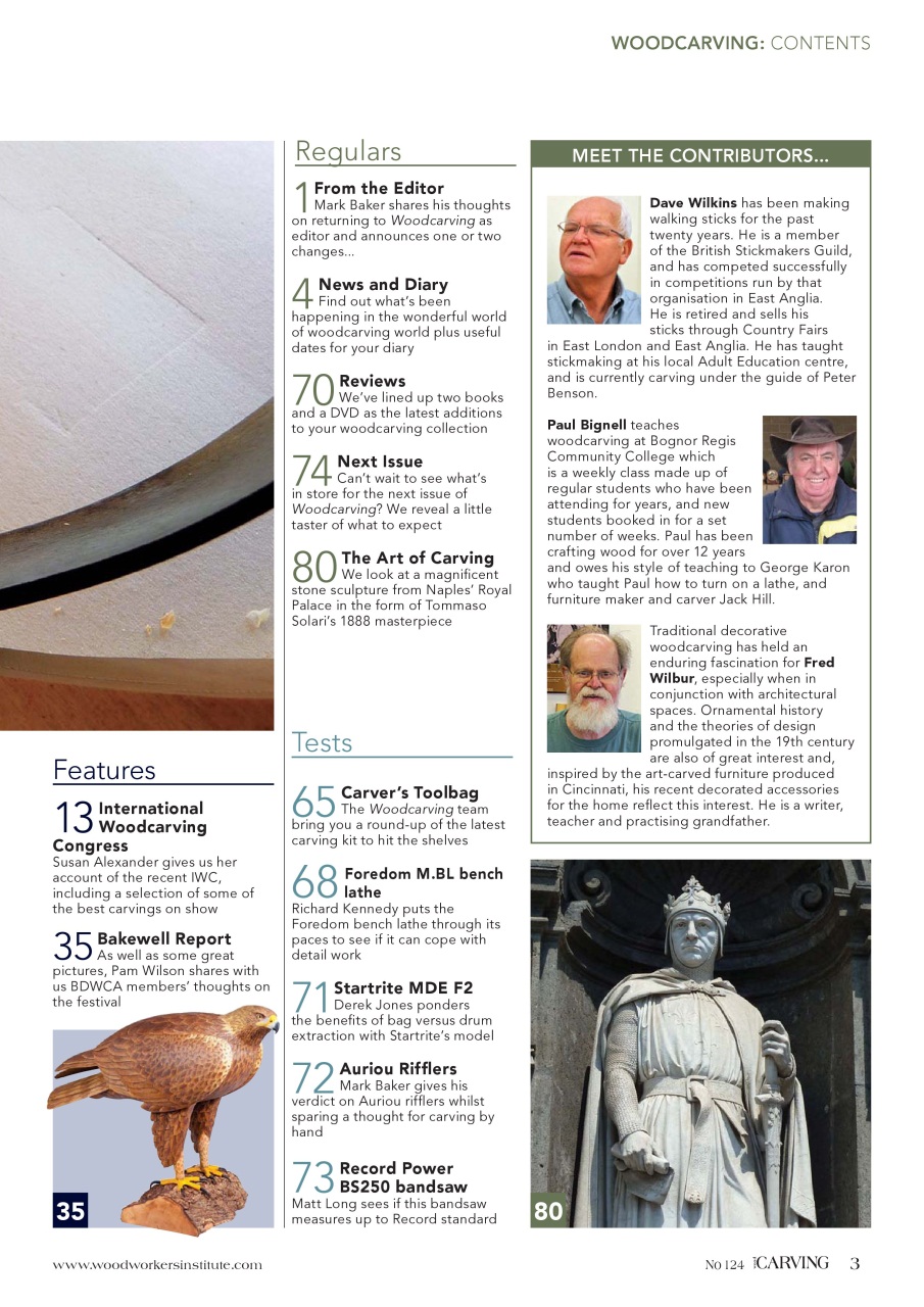 Woodcarving Preview Pages