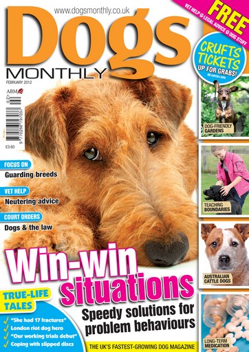 Dogs Monthly issue February 2012