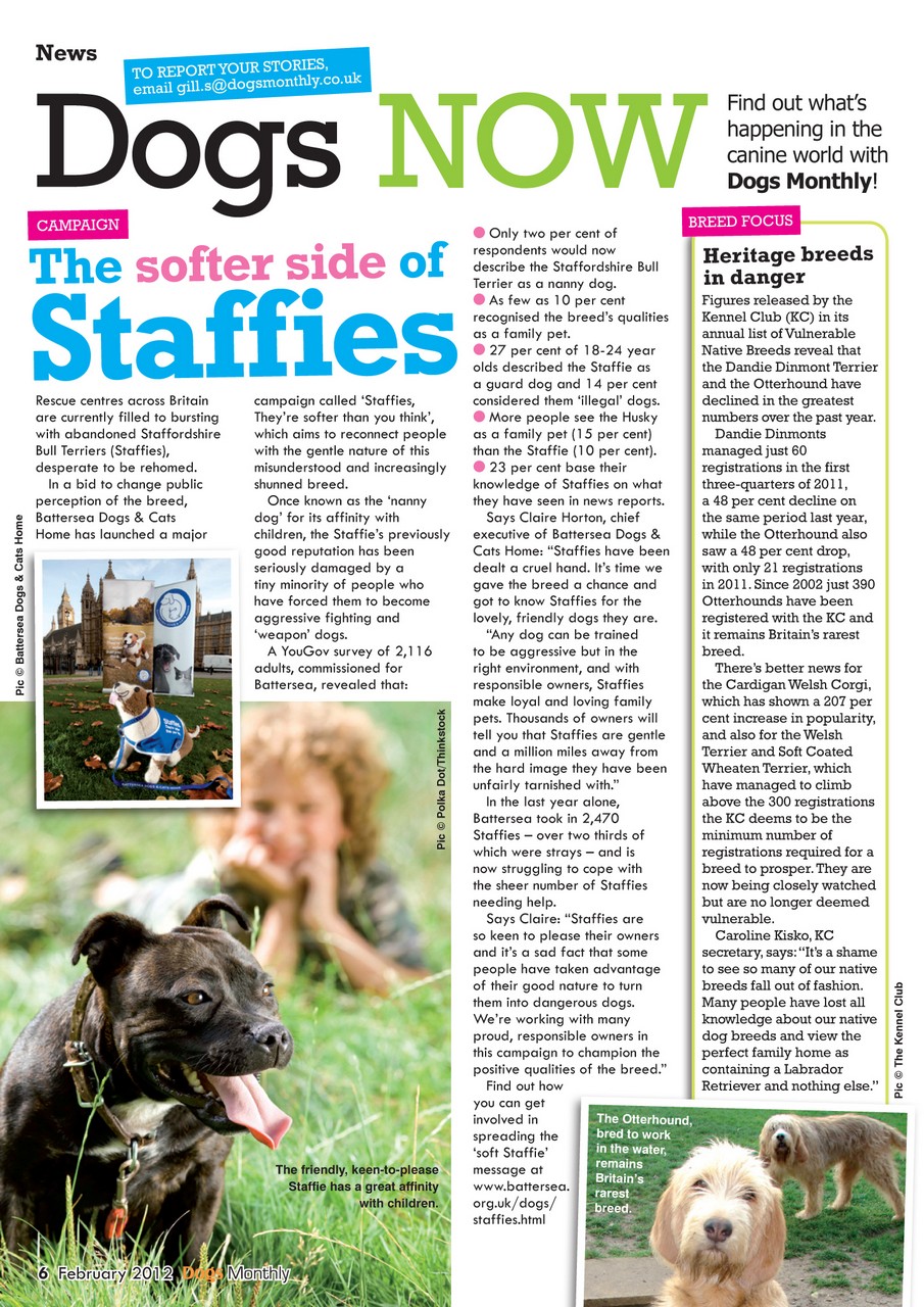 Dogs Monthly Preview Pages