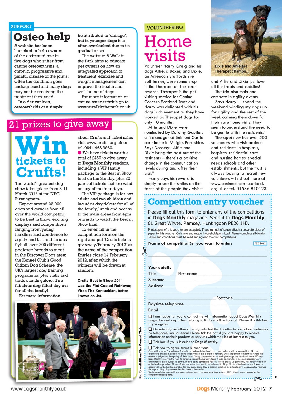 Dogs Monthly Preview Pages