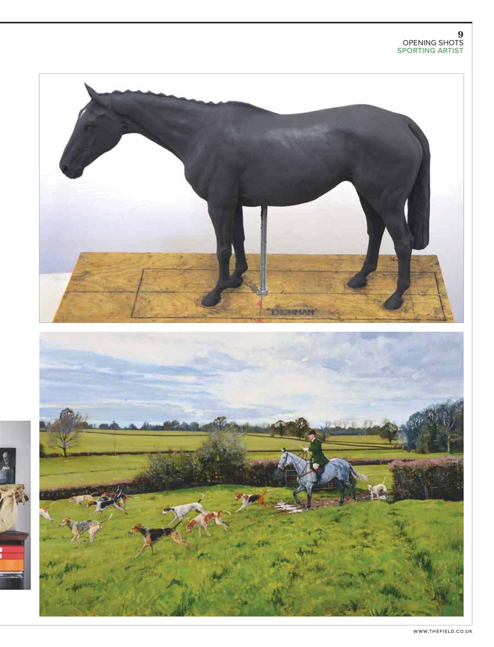 The Field Preview Pages