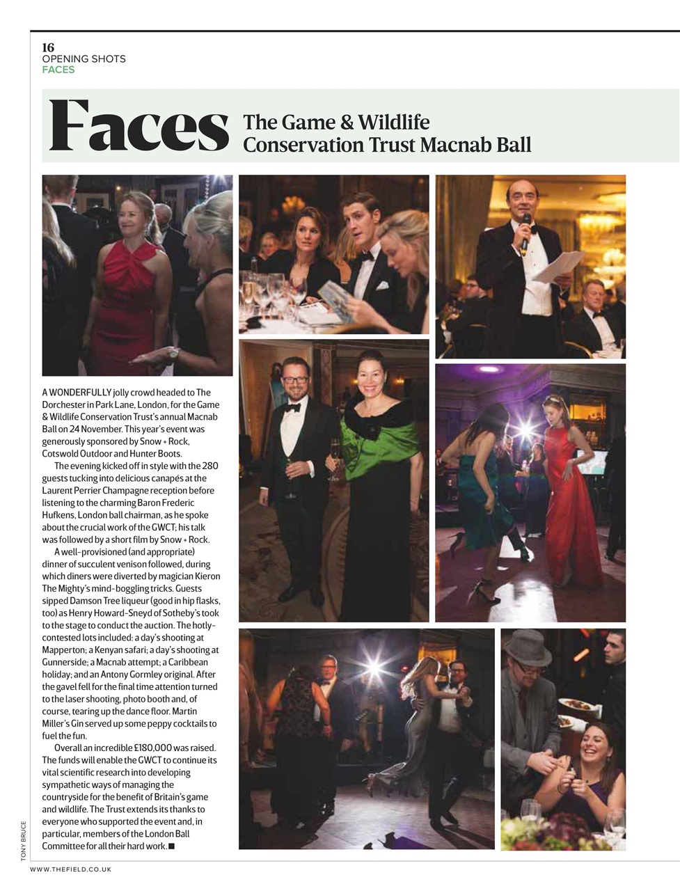 The Field Preview Pages