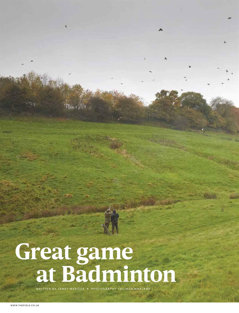 The Field Preview Pages