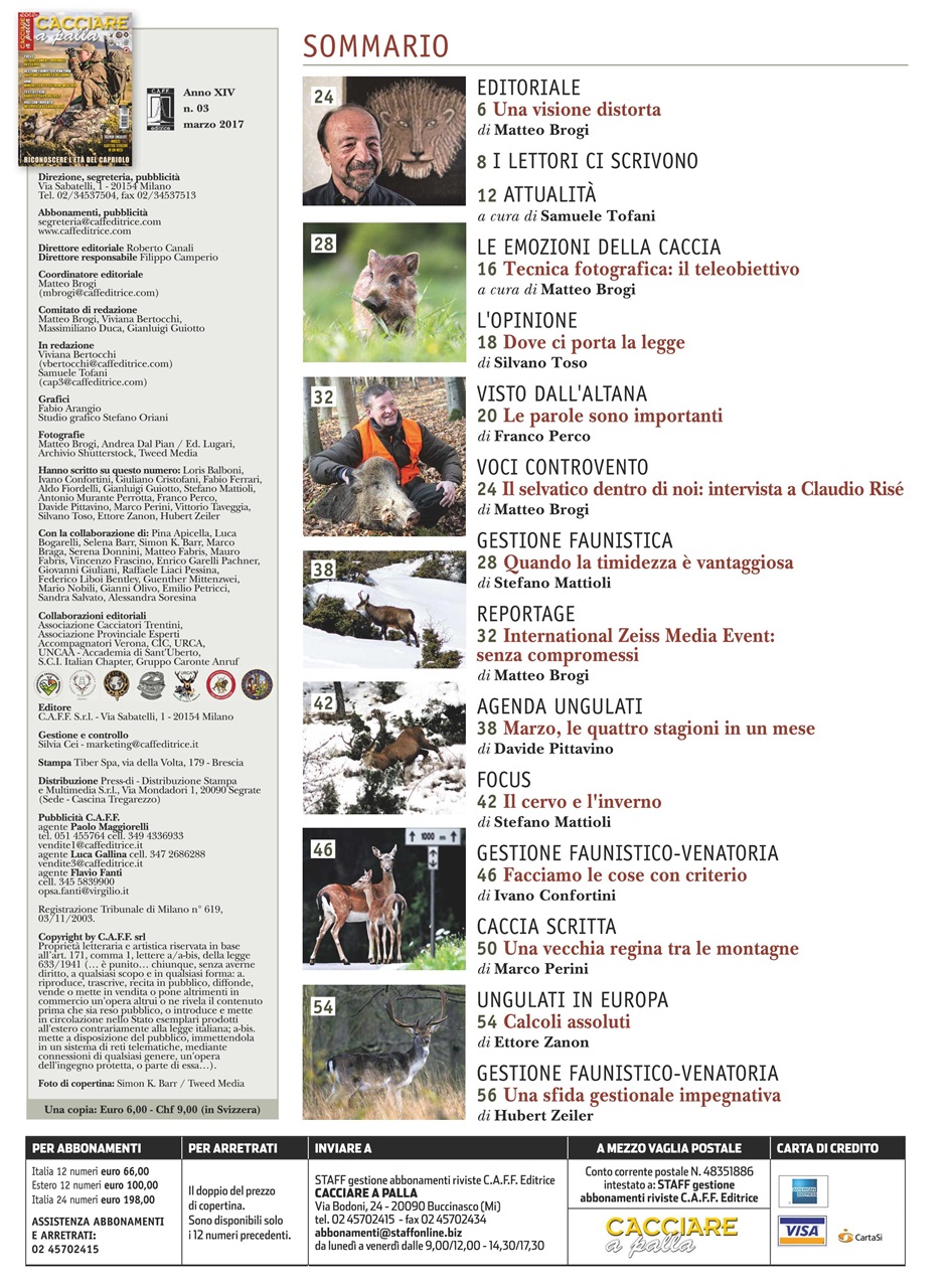 Caccia Magazine Preview Pages