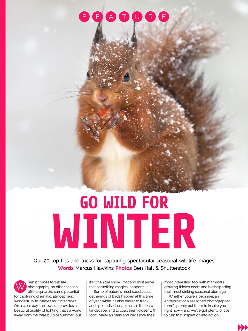 Photography Week Preview Pages