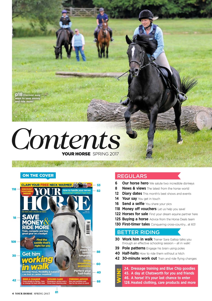 Your Horse Preview Pages