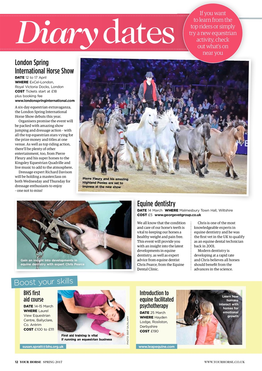 Your Horse Preview Pages