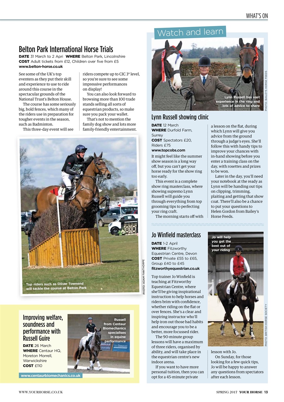 Your Horse Preview Pages