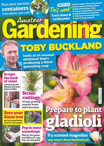 Amateur Gardening issue 25th February 2017